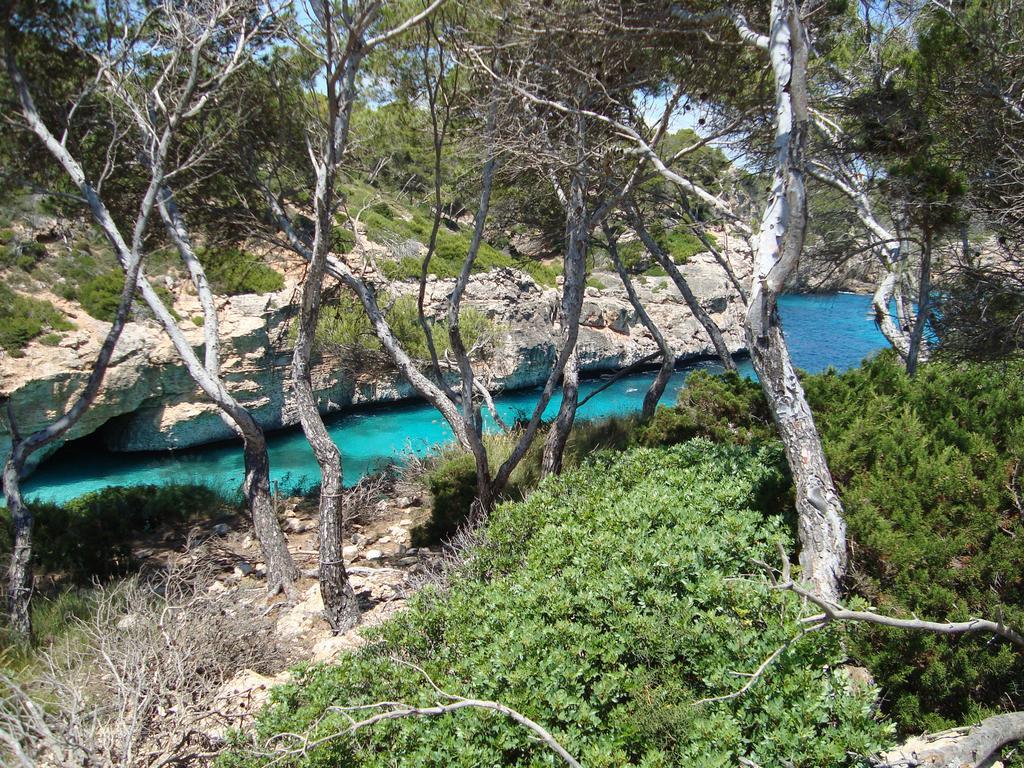 Marina D Or Lägenhet Cala D´Or Exteriör bild